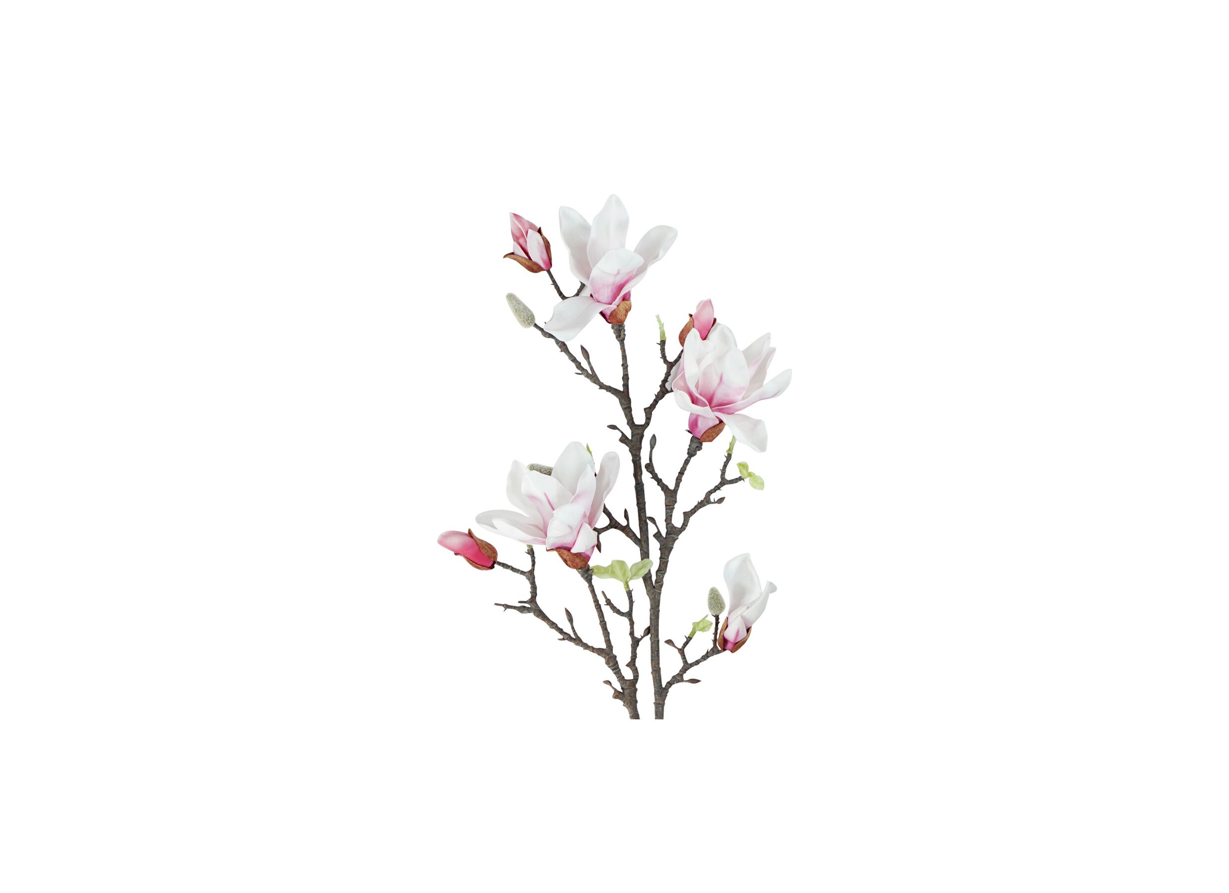 Detail - Fleur artificielle Magnolia H101cm
