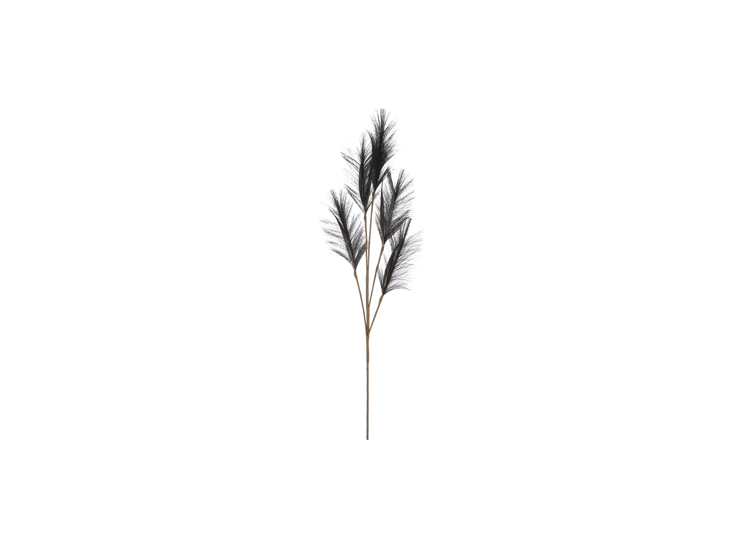Branche artificielle Herbe à panache H98cm - Branche artificielle Herbe à panache H98cm