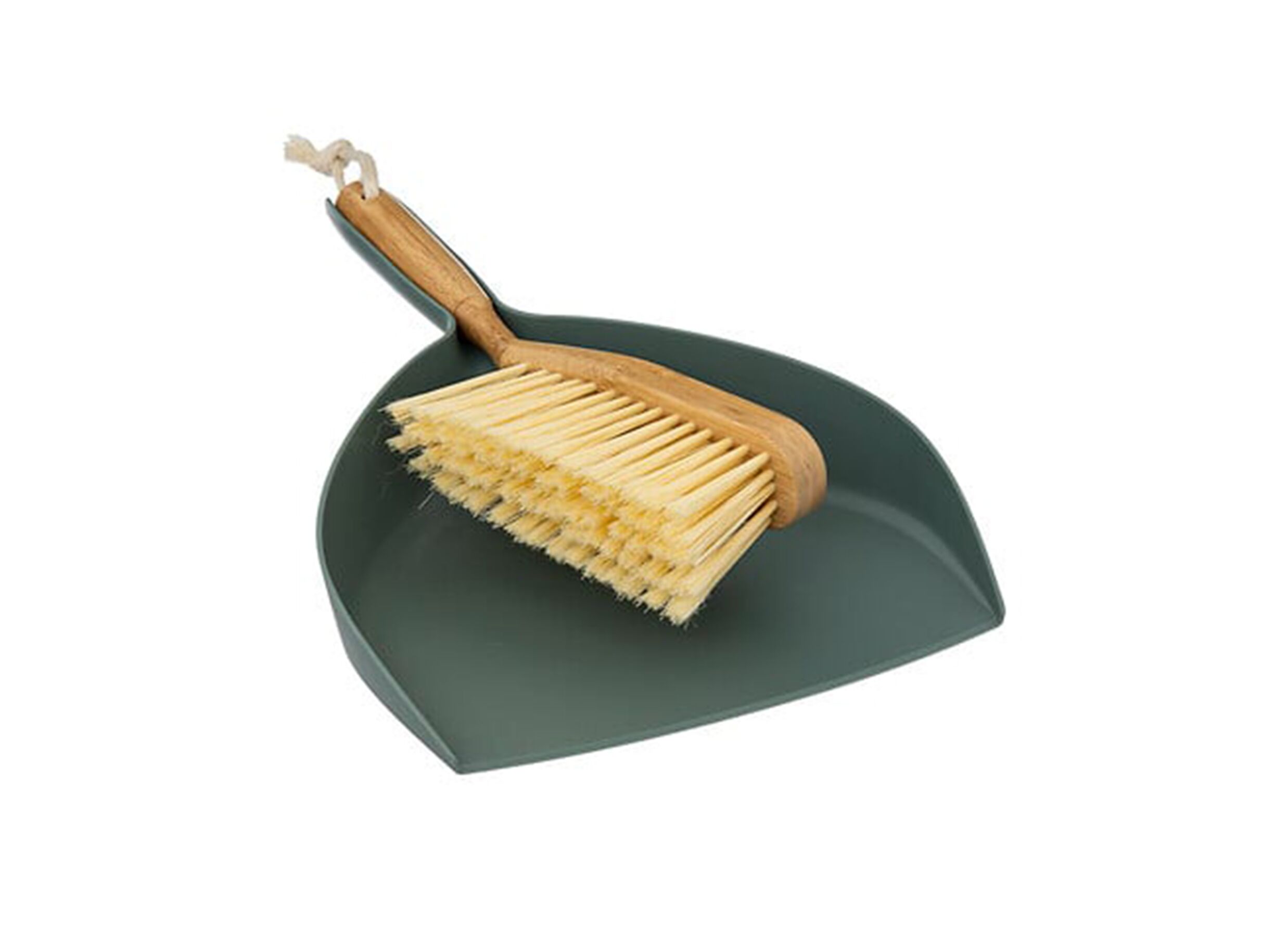 Vuilblik en borstel groen bruin - Vuilblik en borstel groen bruin