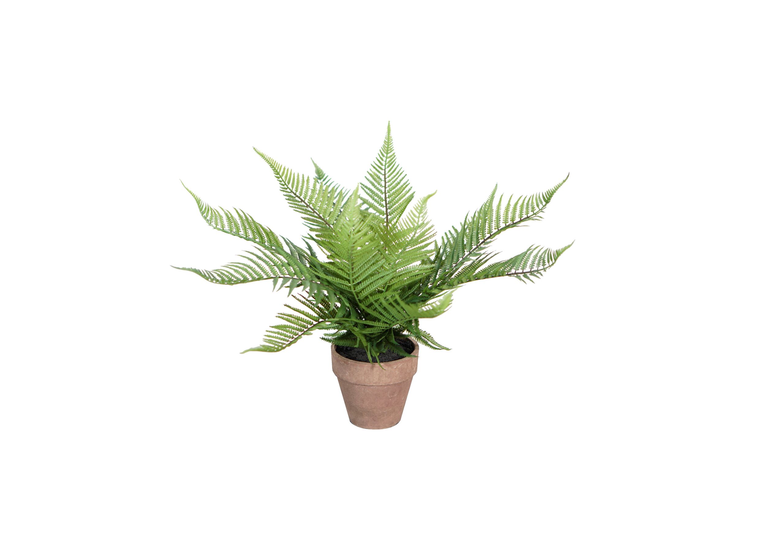Plante artificielle Fougères H40cm - Plante artificielle Fougères H40cm