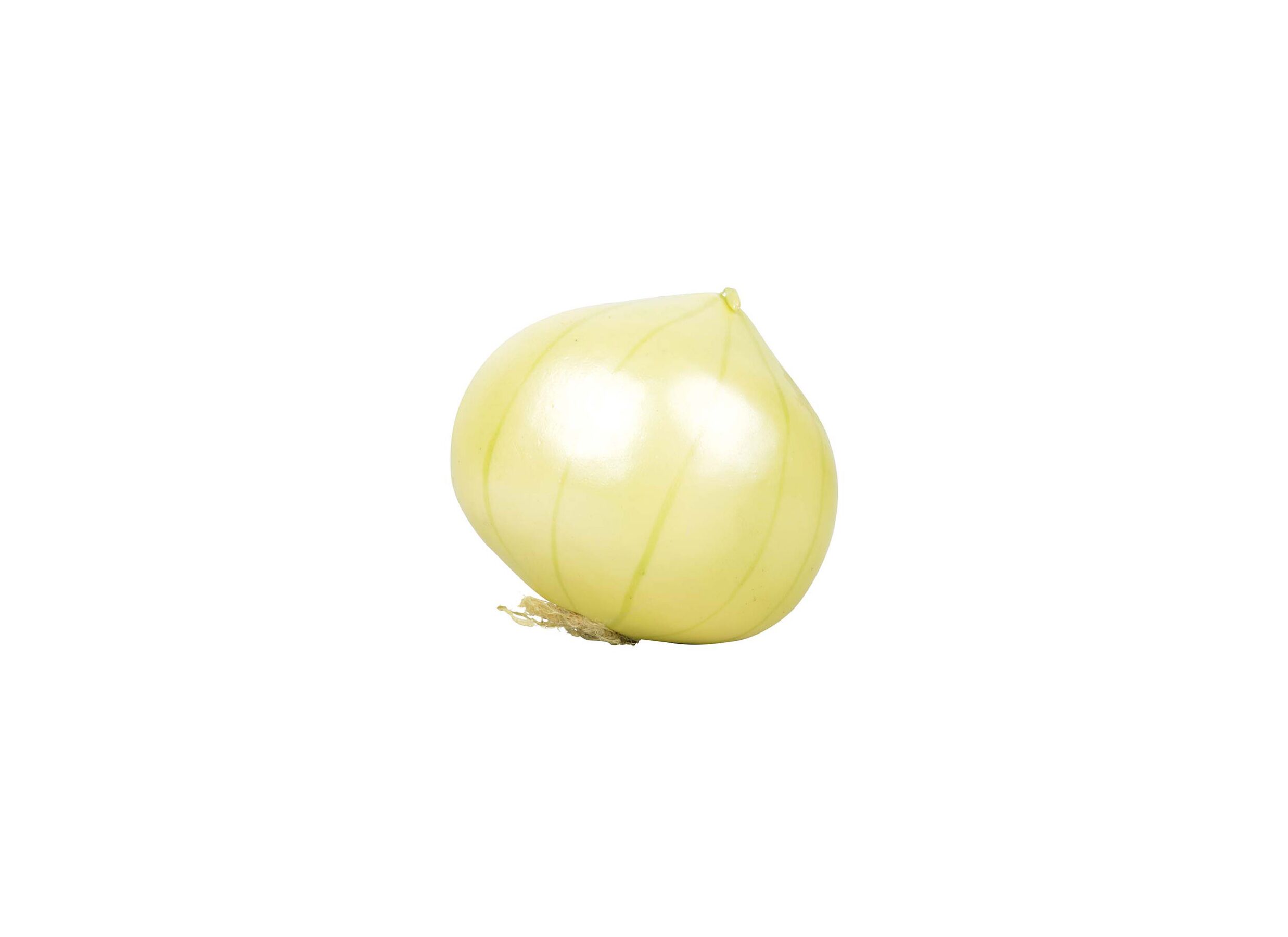 Deco Ajuin Ø7 - Déco Oignon Ø7,4cm