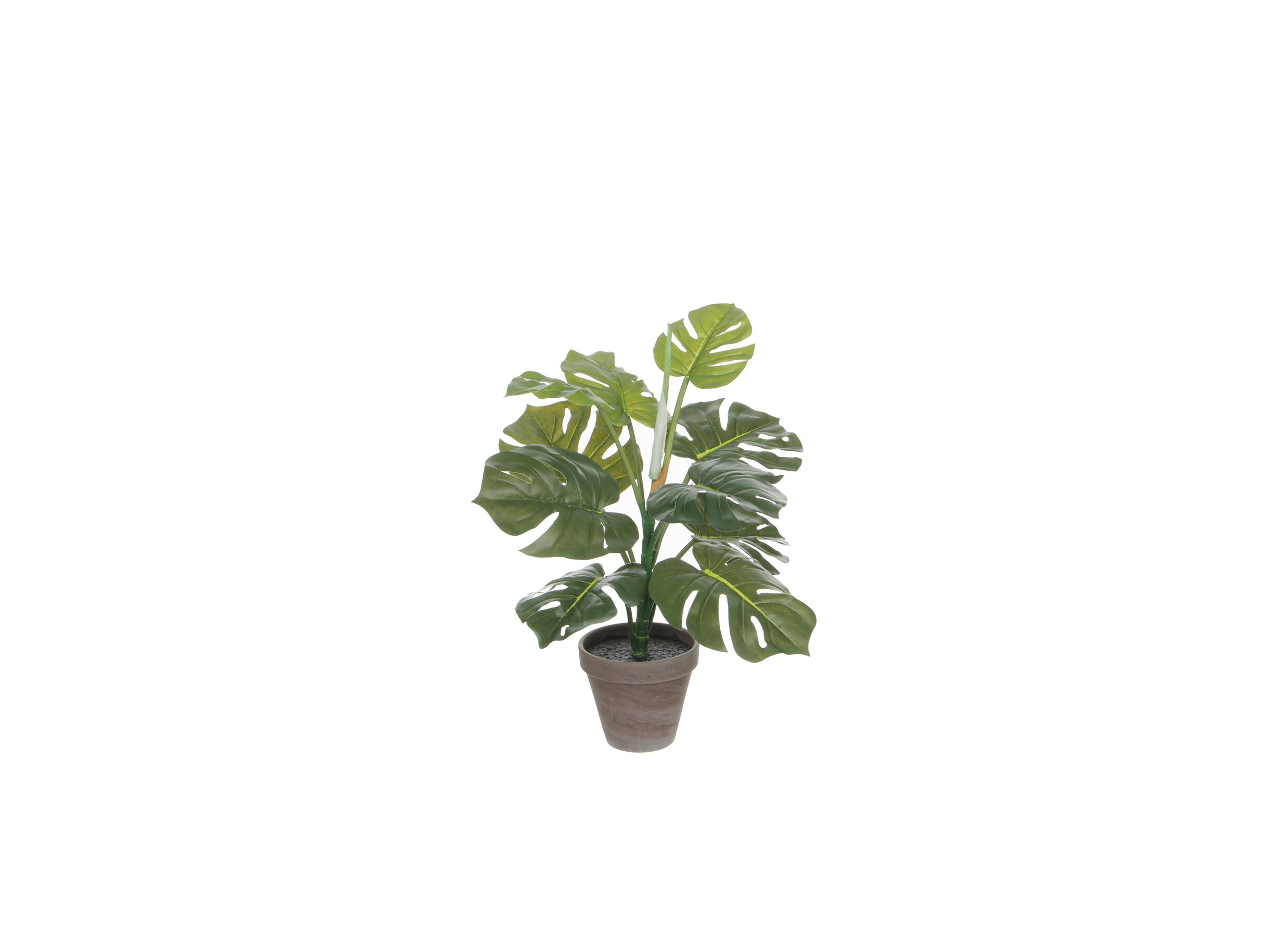 Kunstplant Monstera + pot Stan H48cm