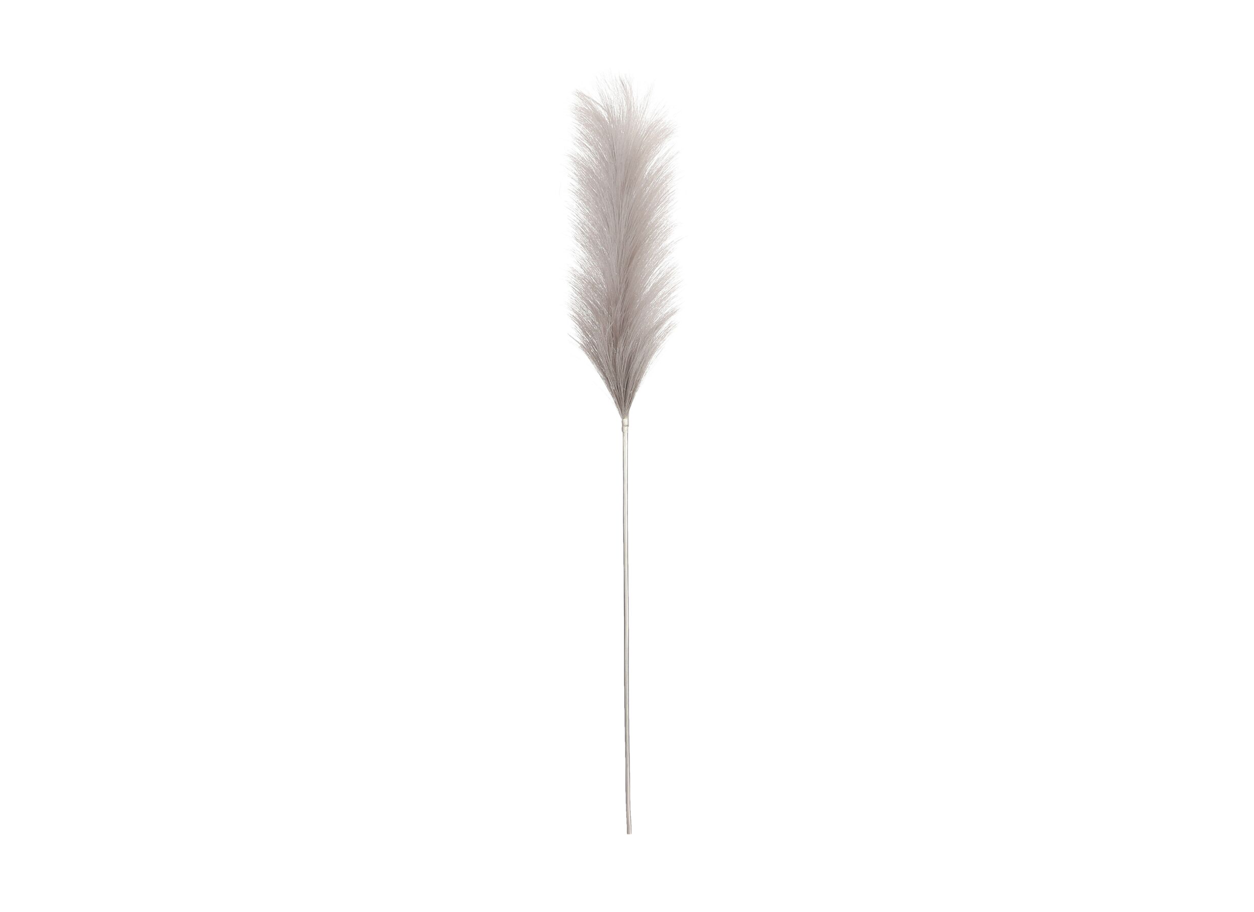 Decoratietak Pluimgras H104cm