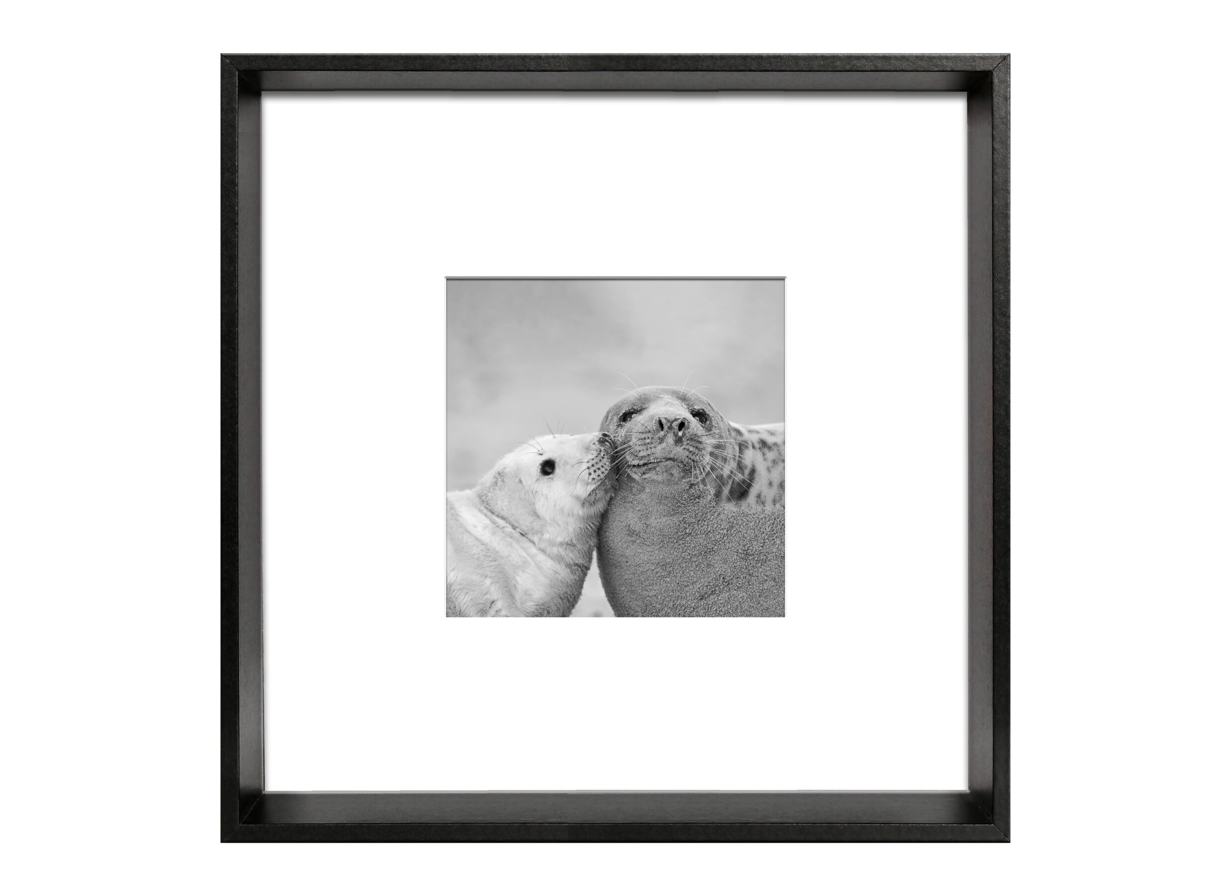 Fotokader Blanc 20x20cm - MDF - zwart - Cadre photo Blanc 20x20cm - MDF - noir