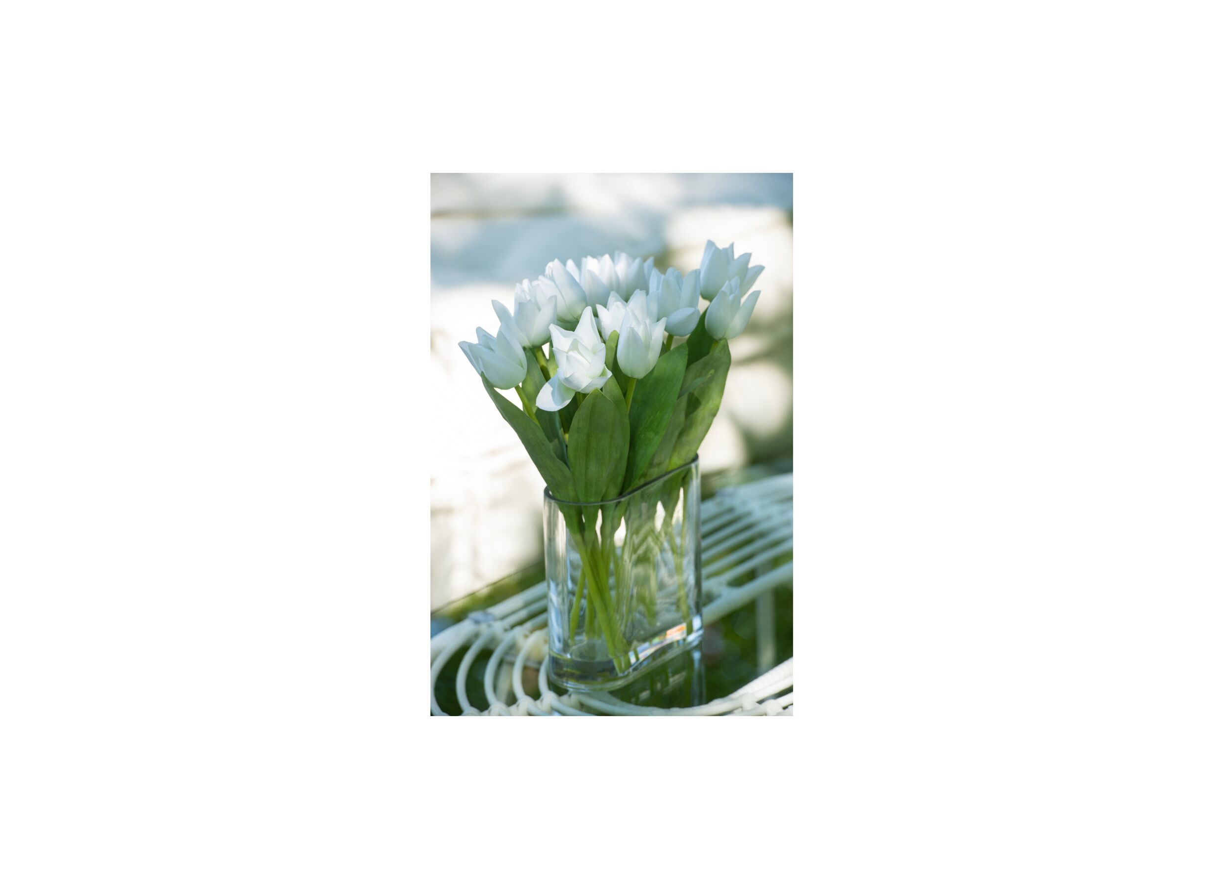 Foto ambiance - Tulipes en vase H38cm - plastique & verre - vert/blanc