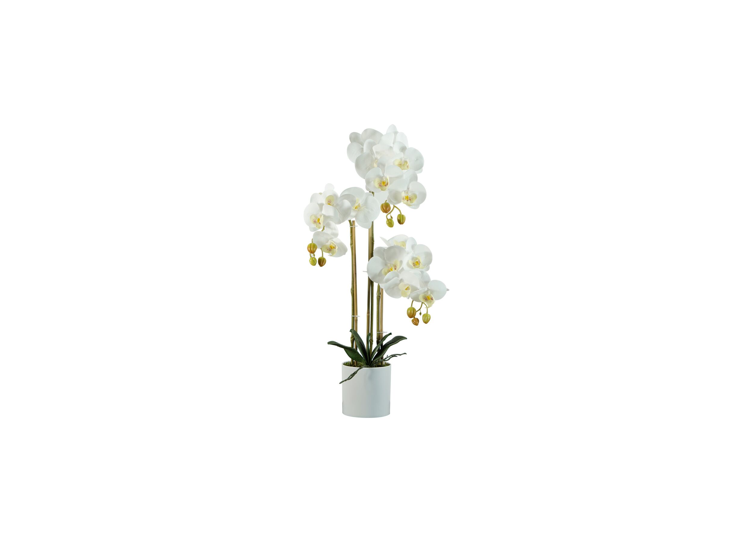 Plus Important - Plante artificielle Orchid H60cm