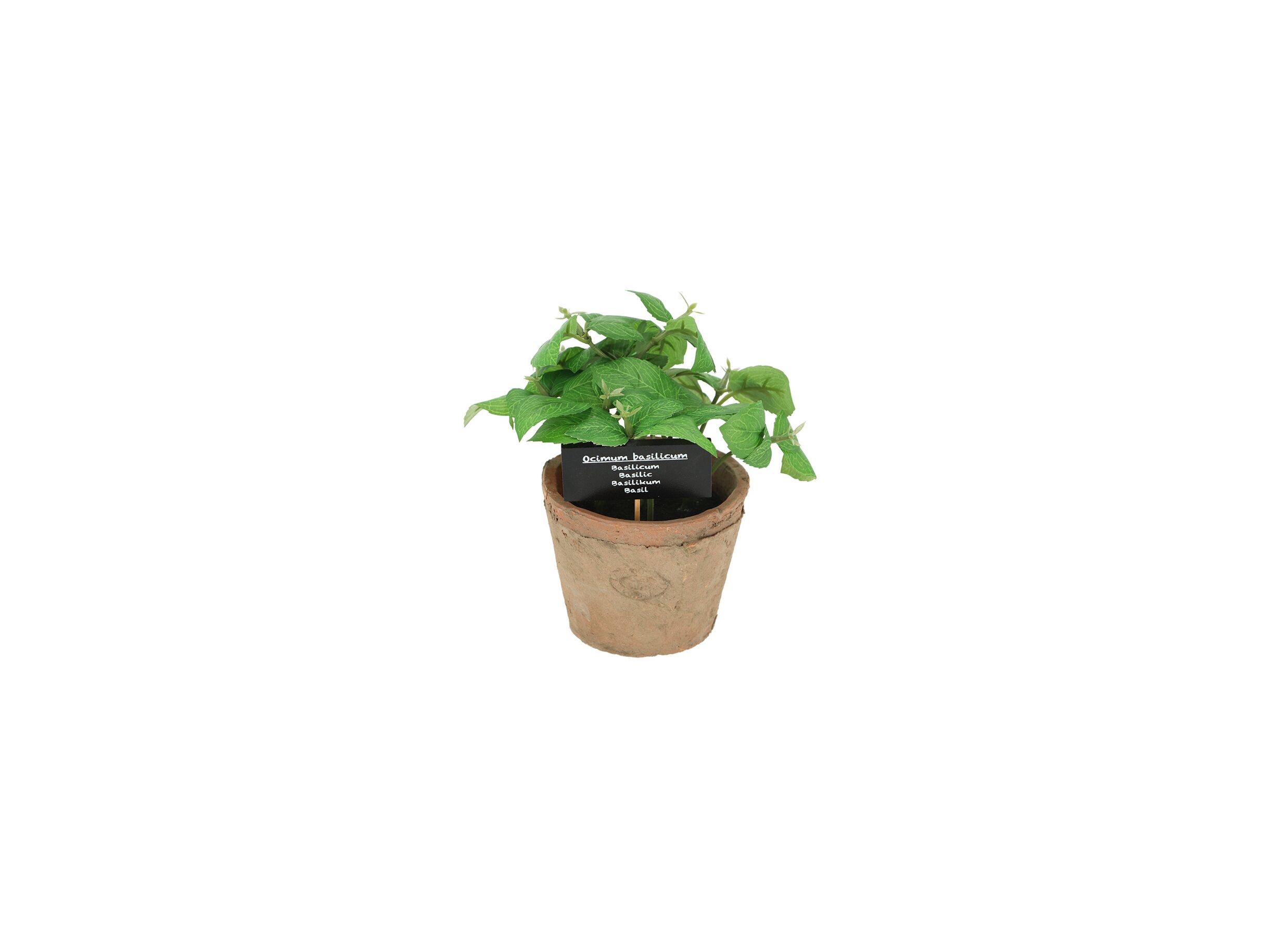 Plus Important - Plante artificielle Basilicum H18,5cm