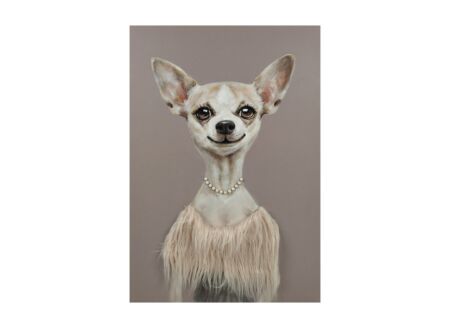 Schilderij op canvas Chihuahua 60x90cm