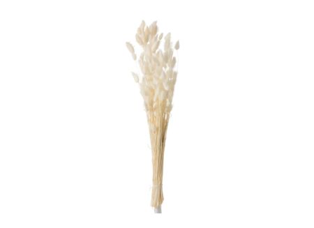 Droogbloemen Pluim  H73cm - kunststof - ecru