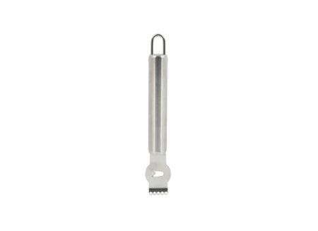 Citroenrasp en- schiller 16,4cm - RVS - zilver