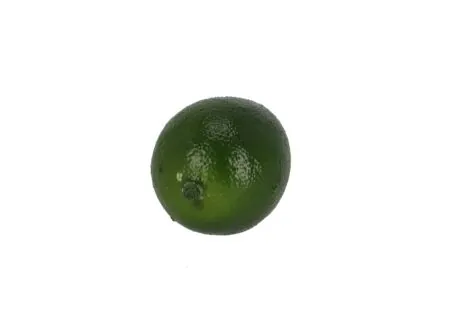 Aperçu - Déco Limon Ø5,5cm