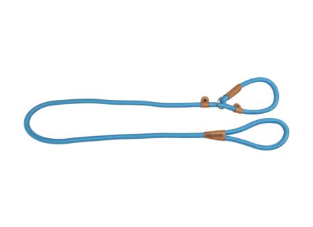 Leiband hond 180cm lichtblauw