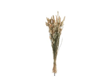 Decoratietak Bundel gedroogde pluimen  75cm