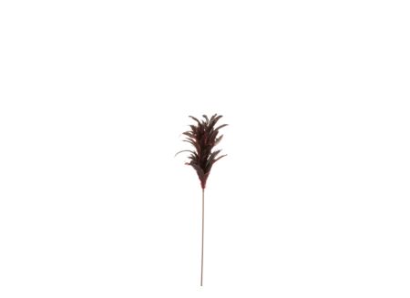 Decoratietak Veren H88cm