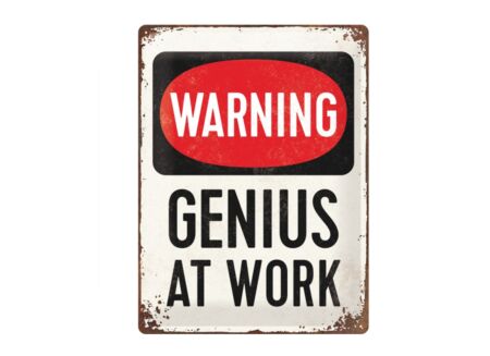 Plakkaat Genius 40x30cm - metaal - multicolor