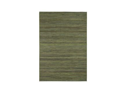 Buitentapijt Brighton  230x160cm polypropyleen groen