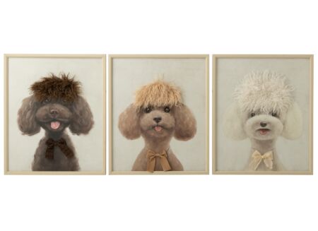 Schilderij Poedel 50x60cm - MDF & canvas - multicolor