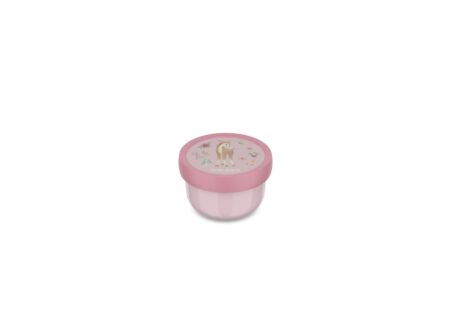 Fruitdoos Campus 300ml - kunststof - fairy garden