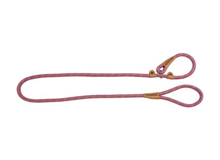 Leiband hond 180cm roze