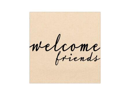 Serviette Friends 33x33cm multicolor 20 stuks