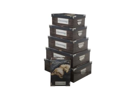 Opbergbox Cocoon - karton - multicolor set van 6