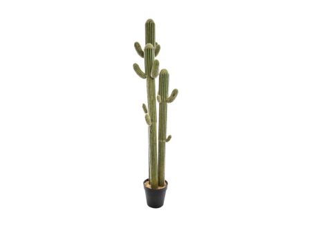 Kunstplant Cactus 3 stammen H203cm
