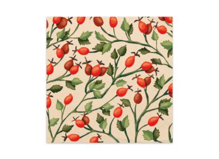 Rosehips  33x33cm - papier - multicolor 20 stuks