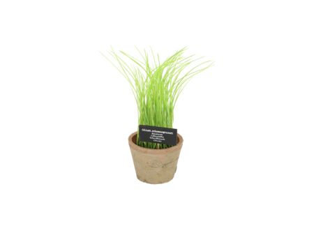 Kunstplant Bieslook H27cm