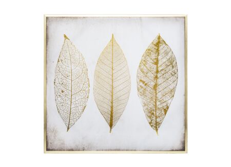 Print op canvas Pluimen 58x58cm