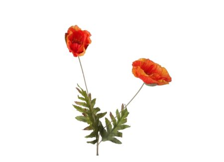 Kunstbloem Maïspapaver H66cm