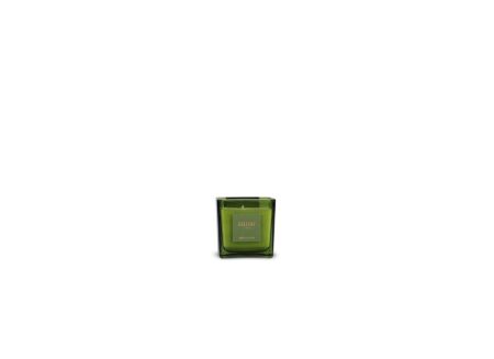 Geurkaars Gallery Forest H8,5cm groen