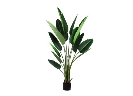 Kunstplant Paradise H210cm