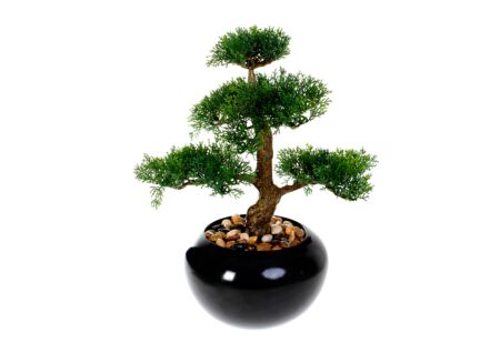 Kunstplant Bonsai H36cm