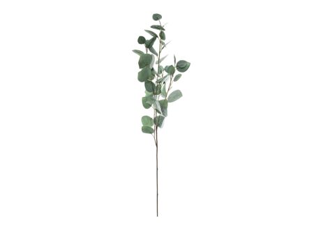 Decoratietak Eucalyptus H92cm