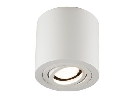 Opbouwspot rond 50W GU10