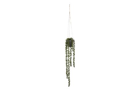 Kunstplant hangende Senecio  H56cm