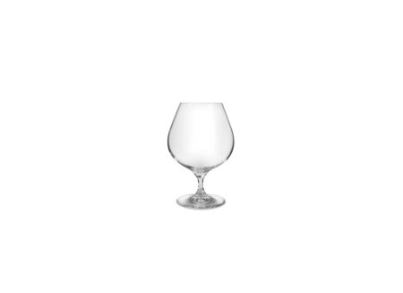 Cognacglas set van 2
