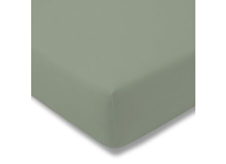 Hoeslaken 140/160x200/220cm - jersey katoen - donkergroen