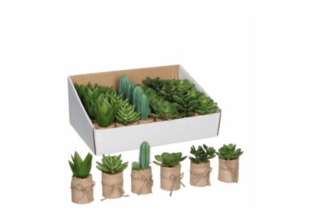 Vetplant H12cm