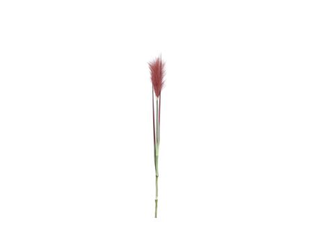 Decoratietak Pluimgras H72cm