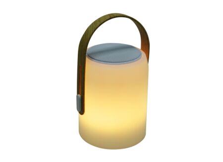 LED Speaker Firefly H25,5cm