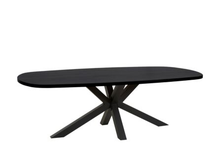 Tafel Raphael 200x100cm - melamine - NOX