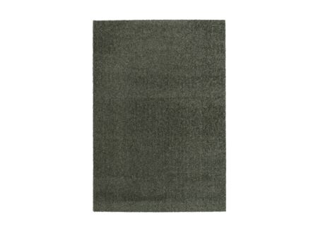 Tapijt Dolce 160x230cm - polypropyleen - groen
