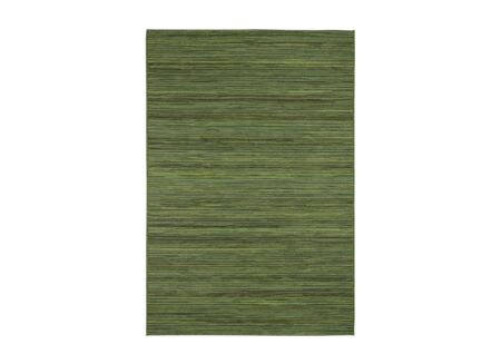 Buitentapijt Brandon 290x200cm polypropyleen groen