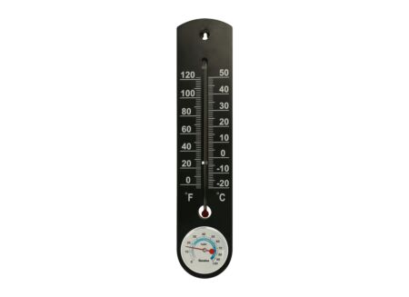 Thermometer met hygrometer H25cm - plastiek & glas - zwart