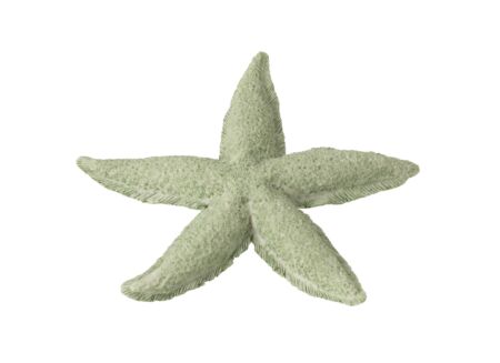 Figuur Zeester 20x20x3cm - polyresine - muntgroen