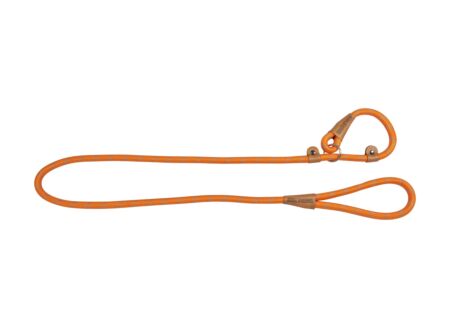 Leiband hond 180cm oranje