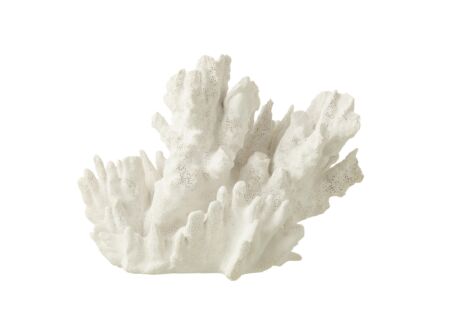 Deco Koraal H21cm - polystone - wit
