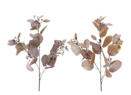 Decoratietak Eucalyptus H86cm