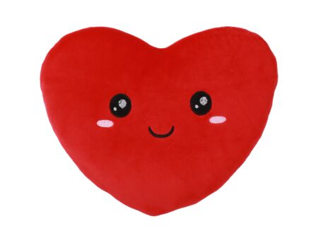 Warmteknuffel Follow Your Heart